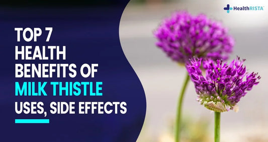 Top 7 Health Benefits of Milk Thistle (Uses, Side Effects)