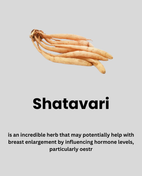 Ingredient 4
